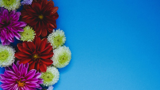 青年比赛中 青年比赛中