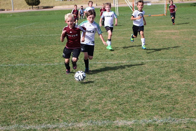 的競爭中形 的競爭中形