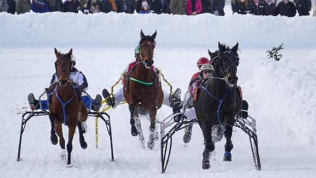 他们的获胜 他们的获胜