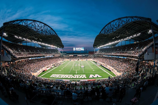 仅展示了 仅展示了