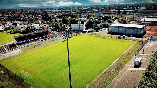 显示出了球 显示出了球