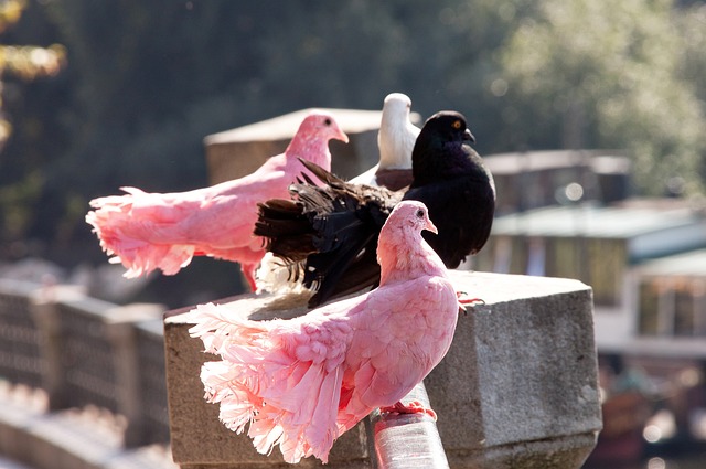 则显得略显 则显得略显
